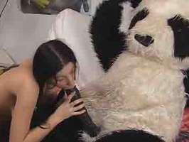 Jovencita universitaria follando con un oso panda
